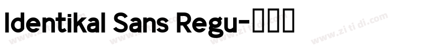 Identikal Sans Regu字体转换